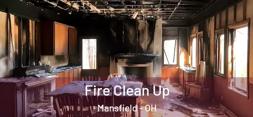  Fire Clean Up Mansfield - OH
