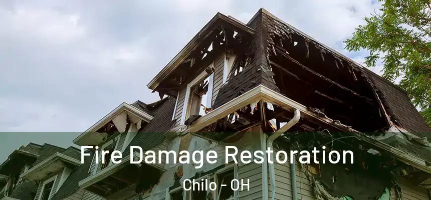 Fire Damage Restoration Chilo - OH