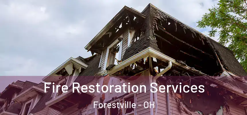  Fire Restoration Services Forestville - OH