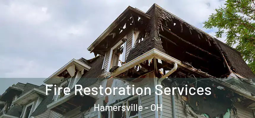  Fire Restoration Services Hamersville - OH