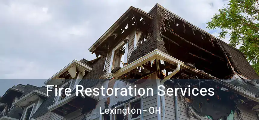  Fire Restoration Services Lexington - OH