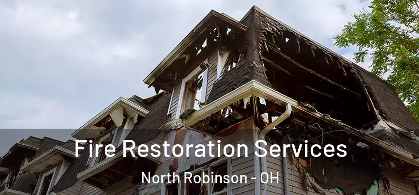  Fire Restoration Services North Robinson - OH