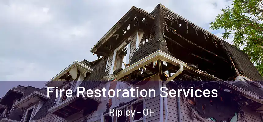  Fire Restoration Services Ripley - OH