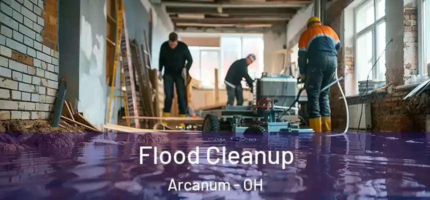 Flood Cleanup Arcanum - OH