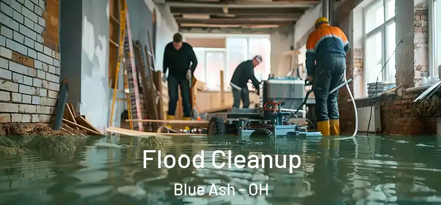  Flood Cleanup Blue Ash - OH