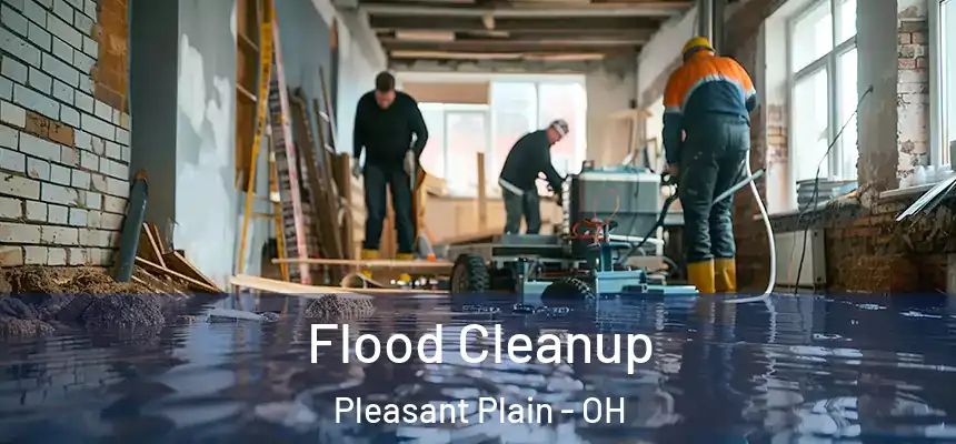  Flood Cleanup Pleasant Plain - OH