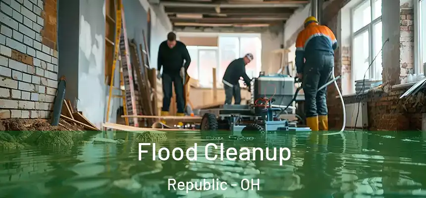  Flood Cleanup Republic - OH