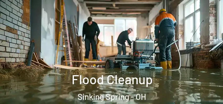  Flood Cleanup Sinking Spring - OH