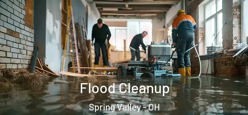  Flood Cleanup Spring Valley - OH