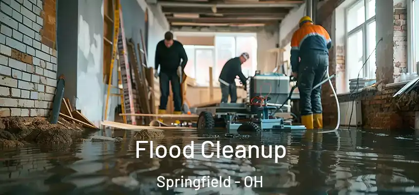  Flood Cleanup Springfield - OH