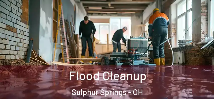 Flood Cleanup Sulphur Springs - OH
