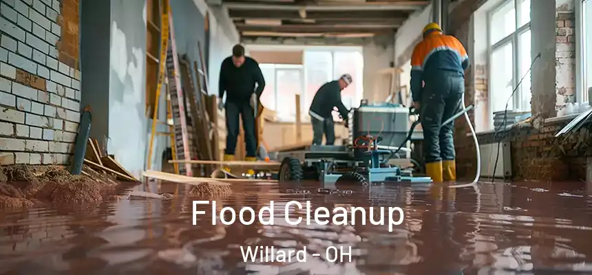 Flood Cleanup Willard - OH