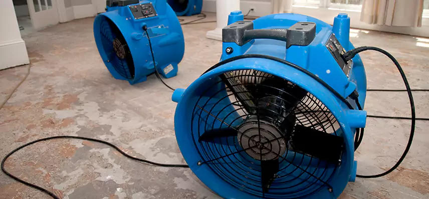 Water Leak Mitigation in Mansfield