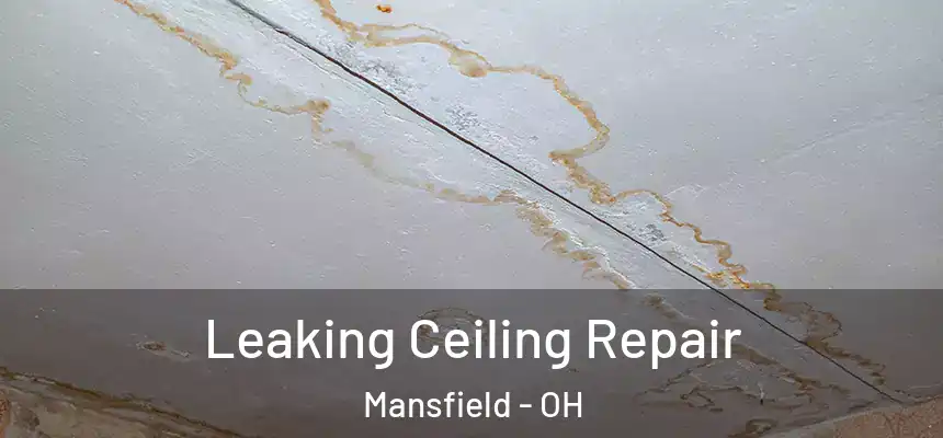 Leaking Ceiling Repair Mansfield - OH