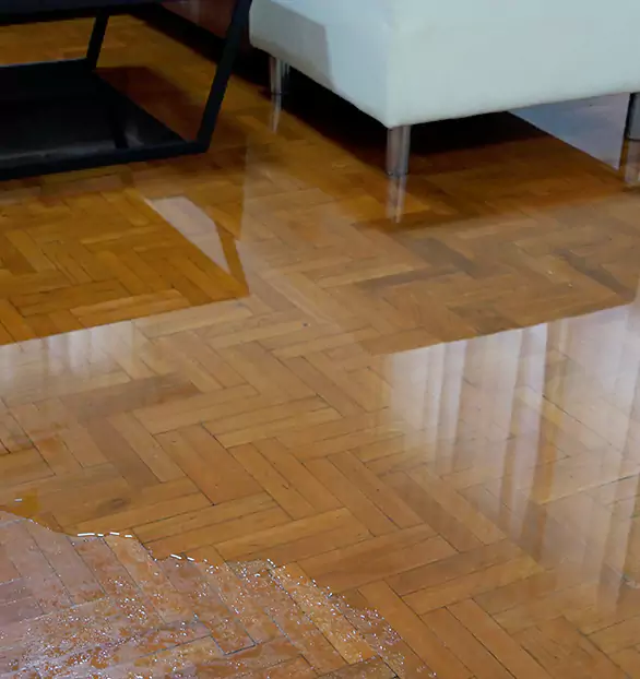 Trusted Emergency Water Restoration Company in Mansfield, OH