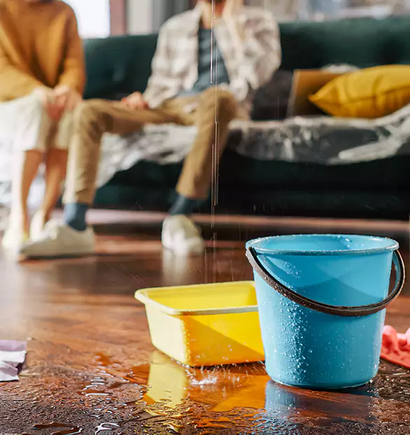 Trusted Water Remediation Company in Mansfield, OH