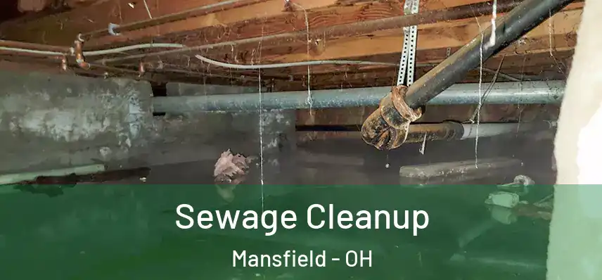 Sewage Cleanup Mansfield - OH