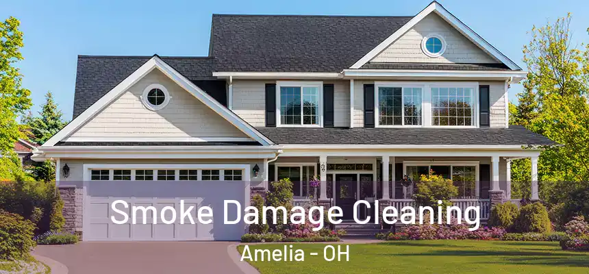  Smoke Damage Cleaning Amelia - OH
