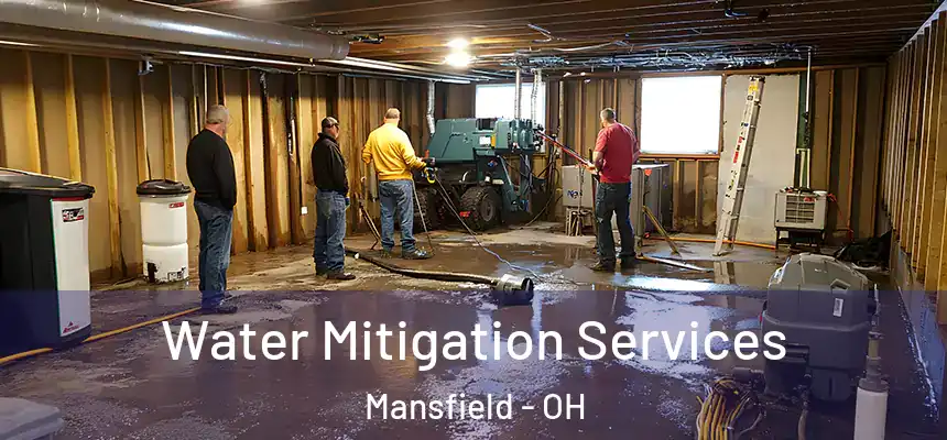  Water Mitigation Services Mansfield - OH