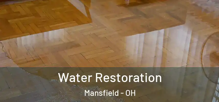 Water Restoration Mansfield - OH
