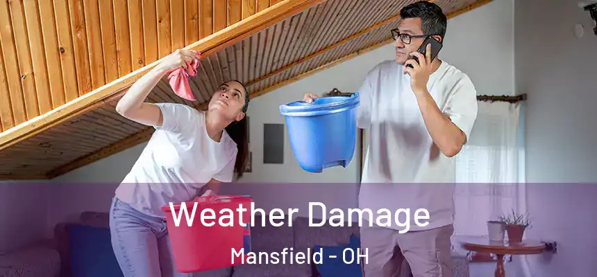  Weather Damage Mansfield - OH
